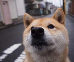 开云体育入口-伊拉克压哨绝杀加拿大，马丁内利完美发挥点燃亚洲之光