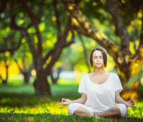 开云体育APP下载-布伦森一剑封喉，步行者速胜辽宁队彰显团队篮球真谛