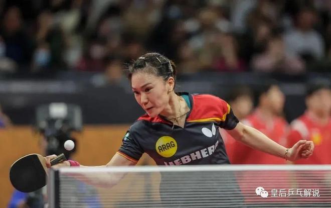 瑞典队横扫法国队，林高远惊艳四座