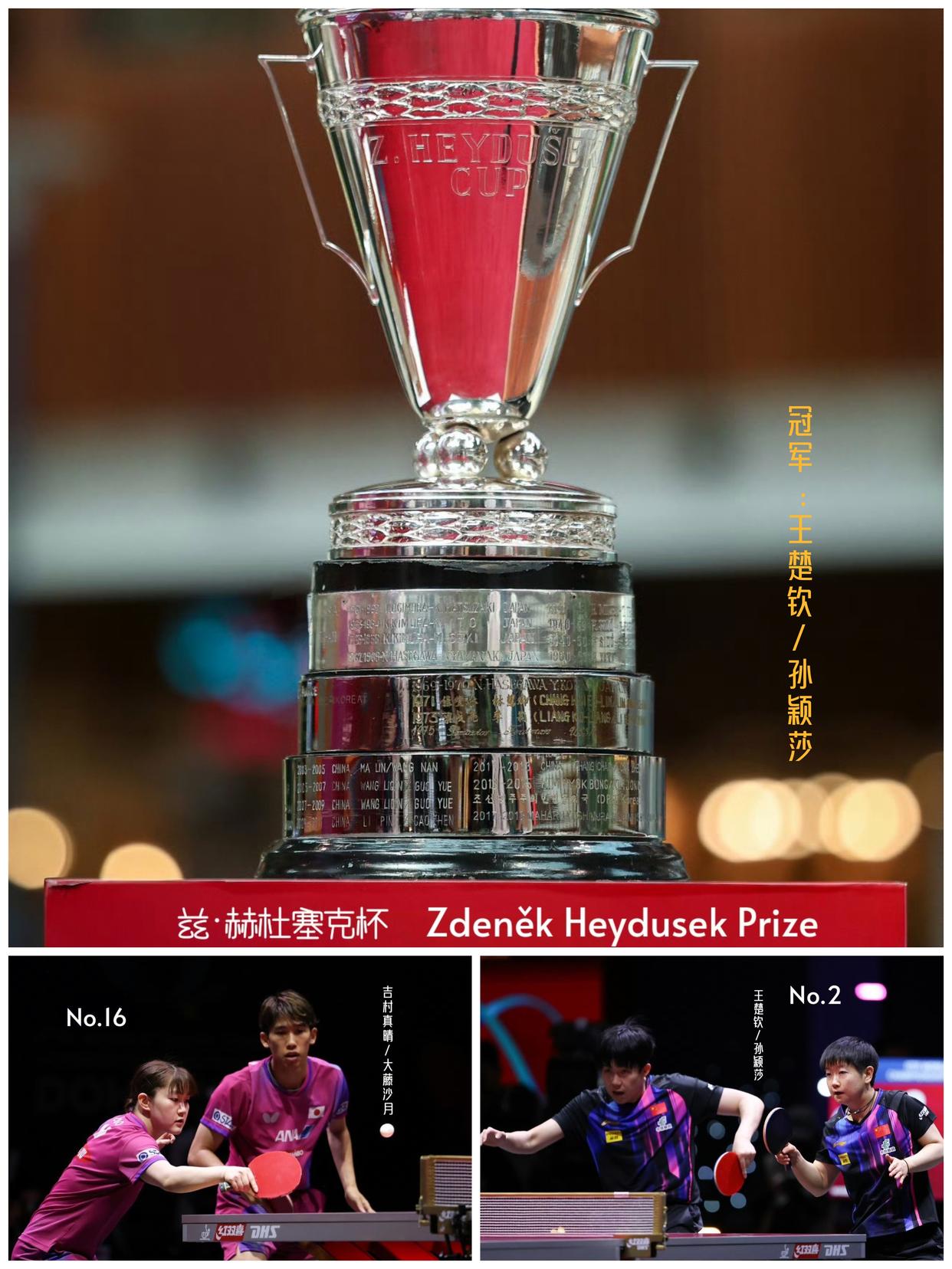 阿尔及利亚选手斩获金牌，成绩耀眼